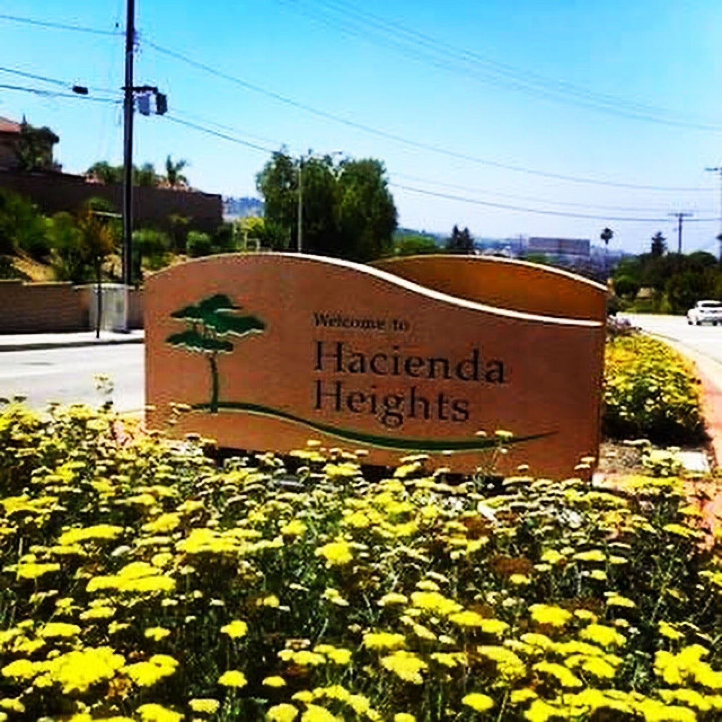 William Steinmetz Park - Hacienda Heights, Ca 91745