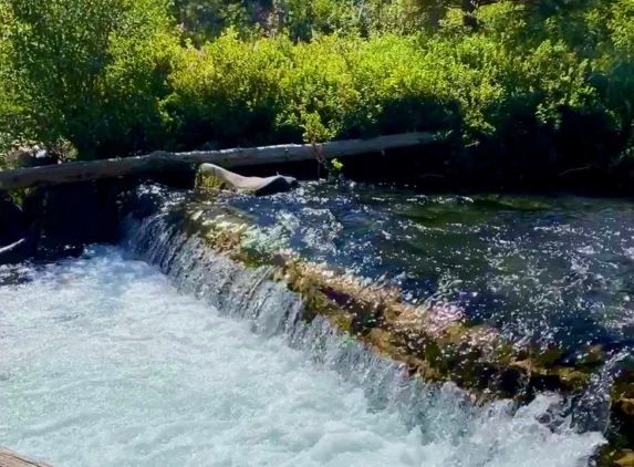 Shevlin Park - Bend, OR