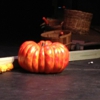 Pumpkin Theatre gallery