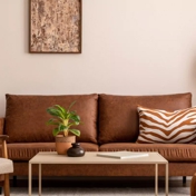 Gallery Image Number 1