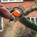 Halbro Tree Service - Stump Removal & Grinding