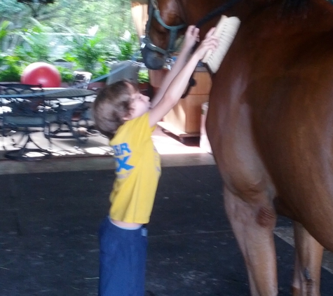 Boca Summer Horse Camp - Boca Raton, FL