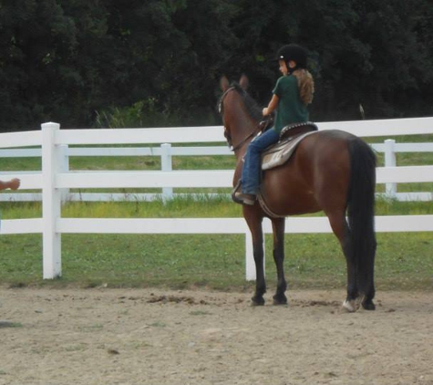 Doublestar Equestrian - Mason, MI