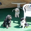 Ken-Ton Animal Clinic gallery