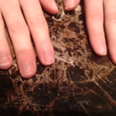 New Nails - Nail Salons