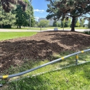 Eco Lawns - Lawn Maintenance