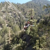 Ziplines at Pacific Crest gallery