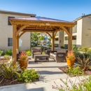 Whispering Oaks Apartments - Apartments