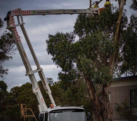 Trimmer Tree - Wonthaggi, VIC