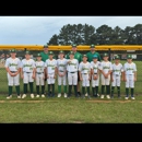 Twisted Lines Apparel - Baseball Clubs & Parks