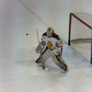 Amsoil Arena - Historical Places