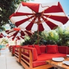 Tree of Life Faena Miami Beach gallery