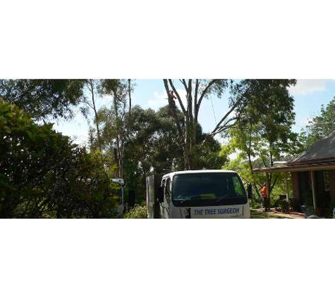 The Tree Surgeon - Spring Creek, NSW