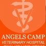 Angels Camp Veterinary Hospital