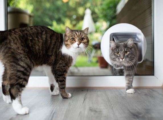 Geelong Cat & Dog Doors - Rippleside, VIC