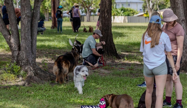 Urban Dog Training - Carindale, QLD