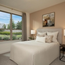 Coventry Homes - Pecan Square 40' - Home Builders