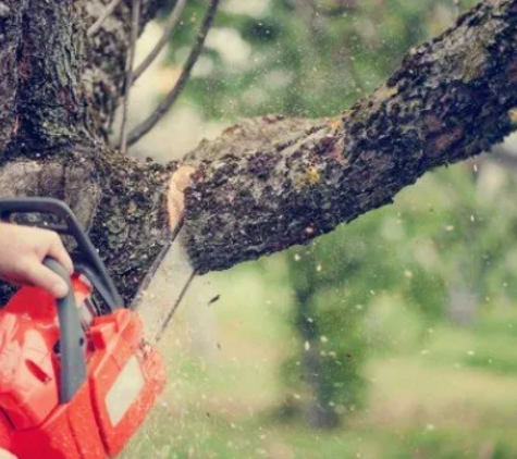 Herbo Tree Service - Warrenville, IL