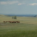 Open Spear Ranch - Ranches