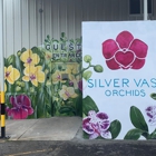 Silver Vase Orchids