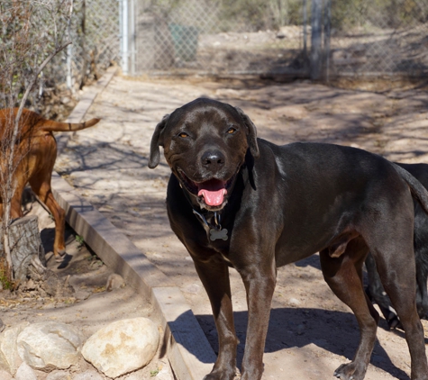 Topanga Pet Resort - Topanga, CA