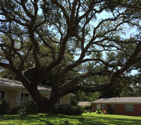 Tri State Tree Service - Pensacola, FL