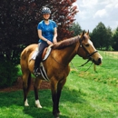 Sarah's Horse and Pet Services - Horse Training