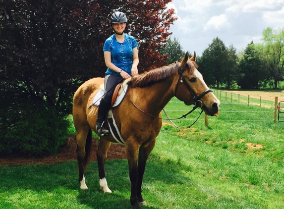 Sarah's Horse and Pet Services - Stokesdale, NC