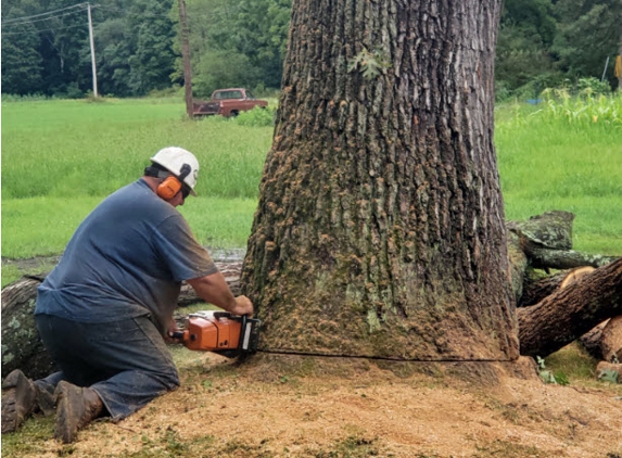 Saar's Tree Service,