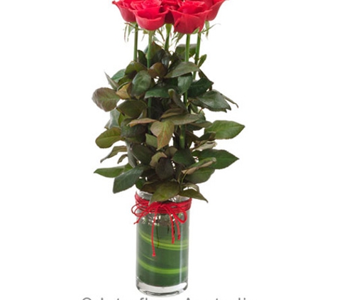 Janines Florist - Reid, ACT
