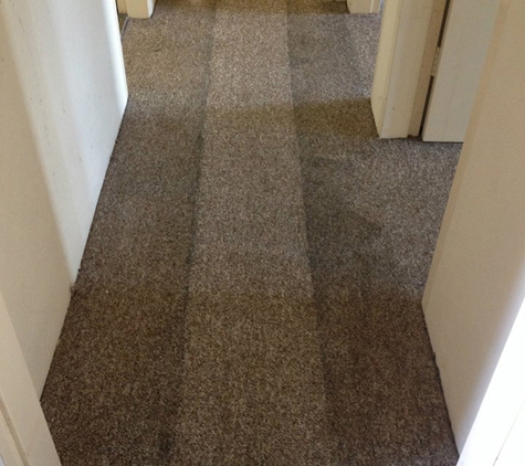 Z Best Carpet Care