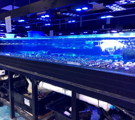 Aqua Life Aquarium Service - Rocklin, CA