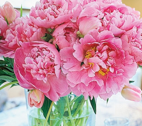 Miami Beach Flowers®, a Surf Florist, Inc Company - Miami Beach, FL. Peonies