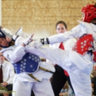 Shiba Taekwondo