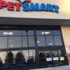 PetSmart gallery