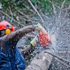 Proven Quality Tree Service