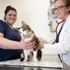 Willowbrook Veterinary Clinic gallery