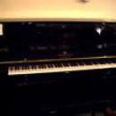 Vintage Pianos - Piano Parts & Supplies