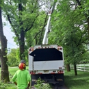 Orocio's Landscaping & Tree Services - Tree Service