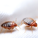 Anchor Pest Control - Pest Control Equipment & Supplies