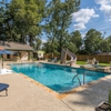 Walts Pools gallery