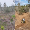 Live Oak Property Services gallery