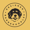Designer Bernedoodles gallery