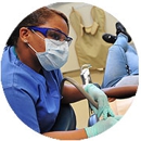 A-Z School of Dental Assisting and Front Office - Dental Schools