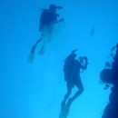 Dive Pros - Diving Excursions & Charters