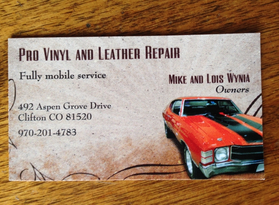 Pro Vinyl and Leather Repair - Clifton, CO