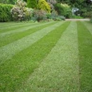 Andy Bear Lawn Care & Landscaping - Lawn Maintenance