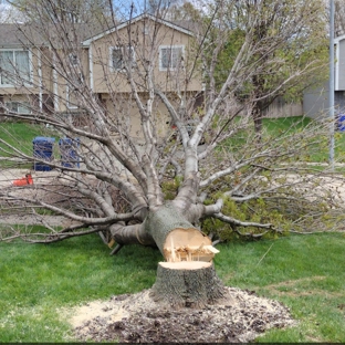 West Omaha Tree Service. Ash tree removal Omaha Nebraska - West Omaha Tree Service - copyright 2023