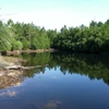 Magnolia Branch Wildlife Reserve gallery