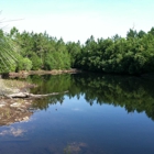 Magnolia Branch Wildlife Reserve